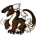 Brown Kohmo