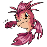 Pink Koi
