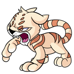 Cream Kougra