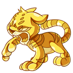 Gold Kougra