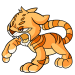 Orange Kougra