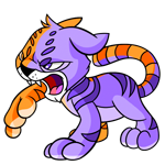 Split Kougra