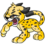 Spotted Kougra