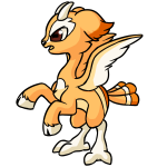 Orange Lulamu