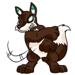 Brown Lupe