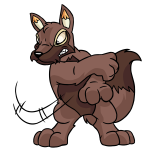 Brown Lupe