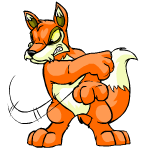 Orange Lupe