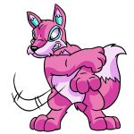 Pink Lupe