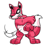 Pink Lupe