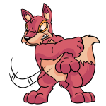 Pink Lupe