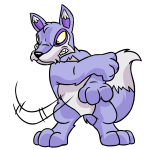Purple Lupe