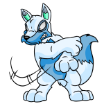 White Lupe