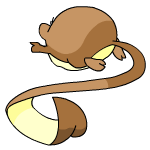 Brown Meerca