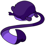 Purple Meerca