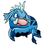 Maraquan Moehog