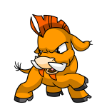 Orange Moehog