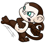 Brown Mynci