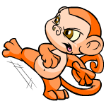 Orange Mynci