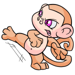 Orange Mynci