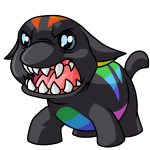 Rainbow Poogle