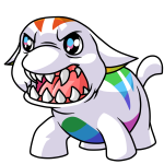 Rainbow Poogle