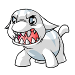 White Poogle