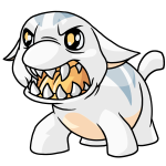 White Poogle