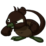 Brown Pteri
