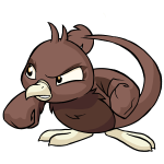 Brown Pteri