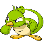 Green Pteri