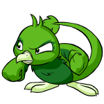 Green Pteri