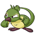 Green Pteri