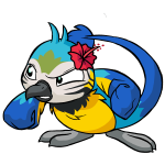 Island Pteri