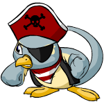 Pirate Pteri