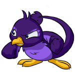 Purple Pteri