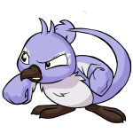 Purple Pteri