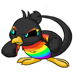 Rainbow Pteri