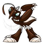 Brown Ruki