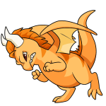Orange Tatsu