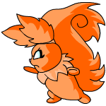 Orange Usul