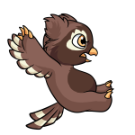 Brown Vandagyre