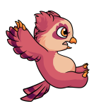 Pink Vandagyre