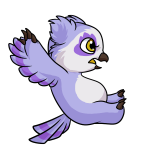 Purple Vandagyre