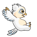 White Vandagyre