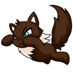 Brown Wocky
