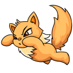 Orange Wocky
