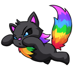 Rainbow Wocky