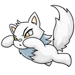 White Wocky