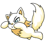 White Wocky