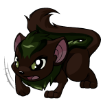 Brown Xweetok